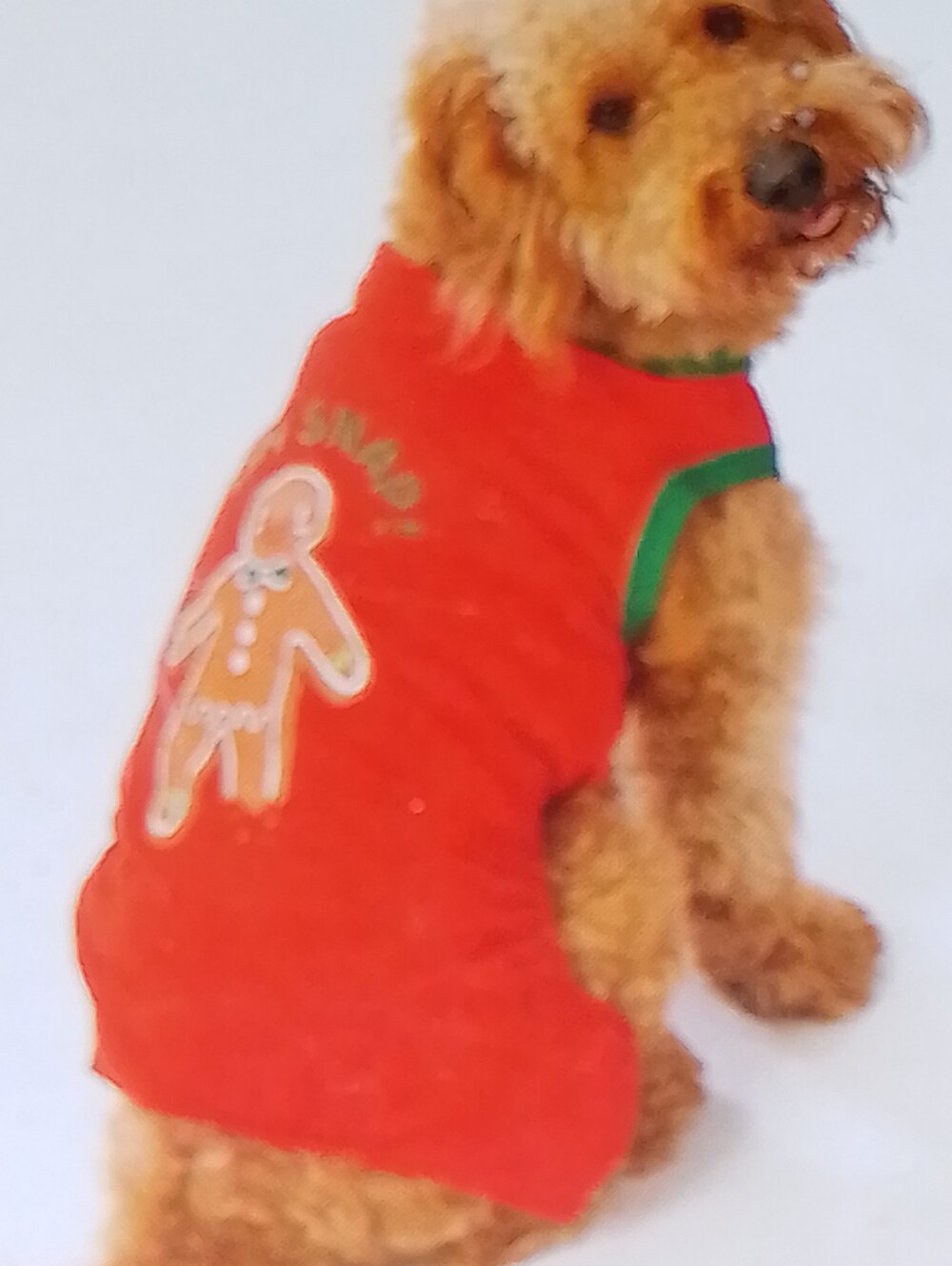 Pet Pajama